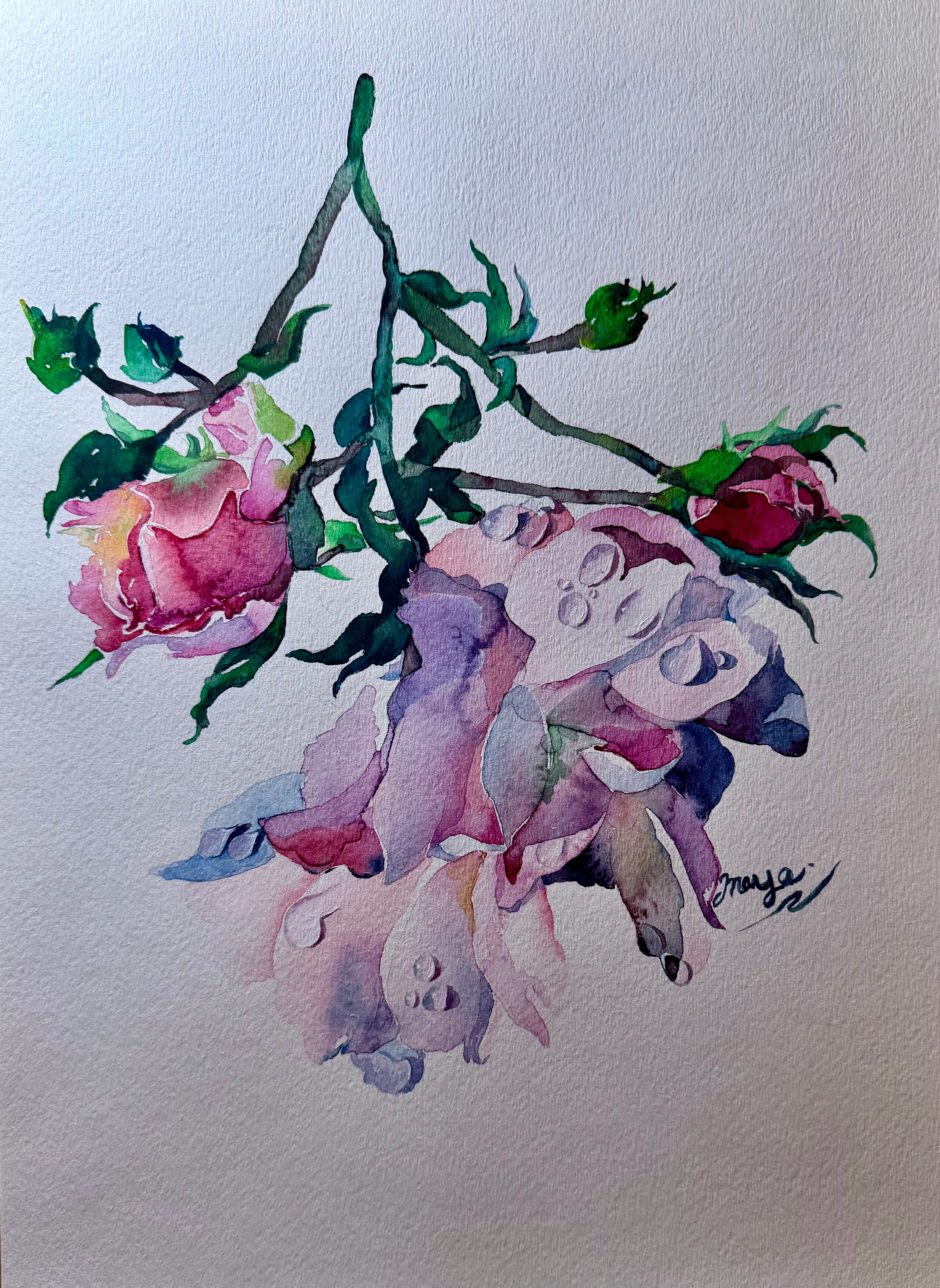 Original Watercolour Painting - "Pink Roses With Dew Drops"