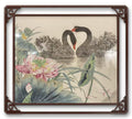 Black Swans in the Lotus Pond
