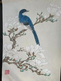 Blue Magpie and White Blossoms