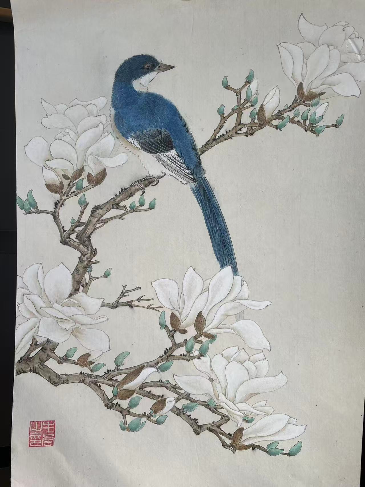 Blue Magpie and White Blossoms