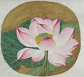 Pink Lotus Flower