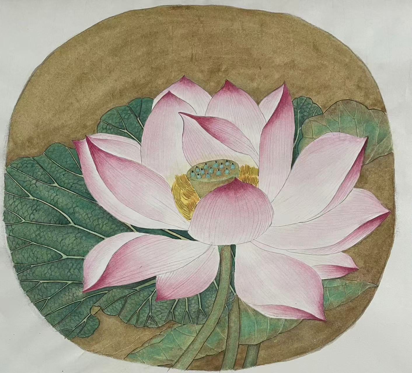 Pink Lotus Flower